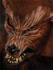 Howl O Ween Mask