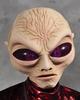 Grey Alien Mask