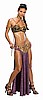 Star Wars Princess Leia Slave Girl