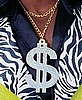 Assorted Pimp Necklaces