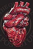 Bloody Heart