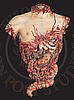 Bloody Torso