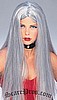 Long Gray Wig
