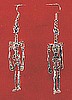 Skeleton Earrings