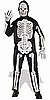 3D Skeleton
