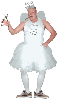 Tooth Fairy Costume